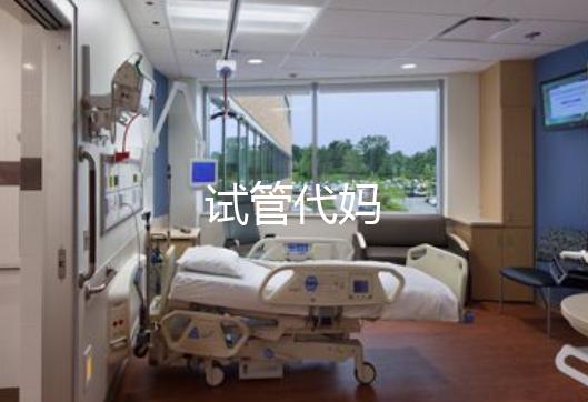试管代妈